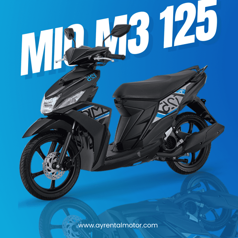 Mio M3